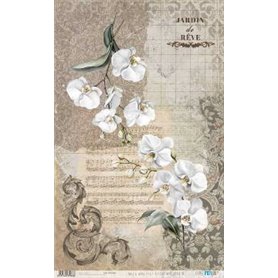 Papel De Arroz " La Vie En Fleurs White Orchid III"  54x33cm
