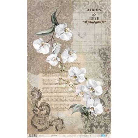 Papel De Arroz " La Vie En Fleurs White Orchid III"  54x33cm