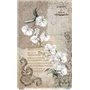 Papel De Arroz " La Vie En Fleurs White Orchid III"  54x33cm