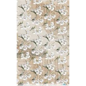 Papel De Arroz " La Vie En Fleurs White Orchid IV"  54x33cm
