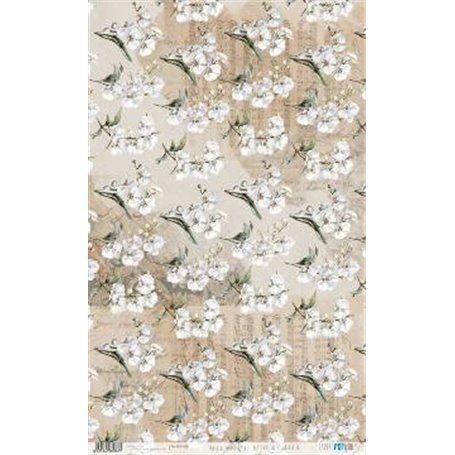 Papel De Arroz " La Vie En Fleurs White Orchid IV"  54x33cm