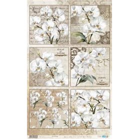 Papel De Arroz " La Vie En Fleurs White Orchid V"  54x33cm