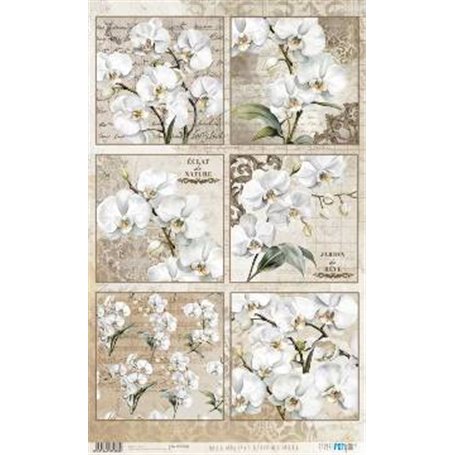 Papel De Arroz " La Vie En Fleurs White Orchid V"  54x33cm
