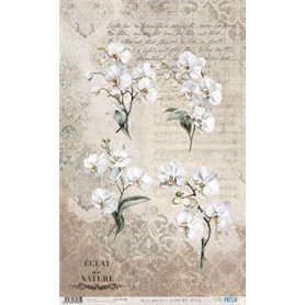Papel De Arroz " La Vie En Fleurs White Orchid VI"  54x33cm