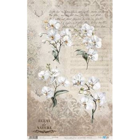 Papel De Arroz " La Vie En Fleurs White Orchid VI"  54x33cm