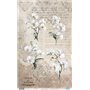 Papel De Arroz " La Vie En Fleurs White Orchid VI"  54x33cm