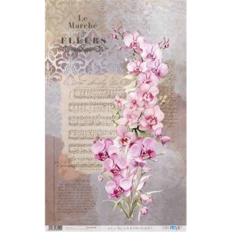 Papel De Arroz " La Vie En Fleurs Pink Orchid I"  54x33cm