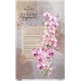 Papel De Arroz " La Vie En Fleurs Pink Orchid I"  54x33cm