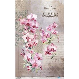 Papel De Arroz " La Vie En Fleurs Pink Orchid II"  54x33cm