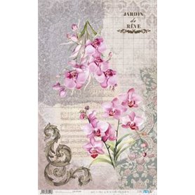Papel De Arroz " La Vie En Fleurs Pink Orchid III"  54x33cm
