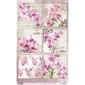Papel De Arroz " La Vie En Fleurs Pink Orchid V"  54x33cm
