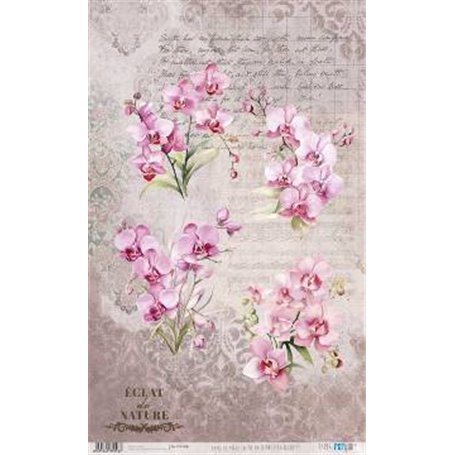 Papel De Arroz " La Vie En Fleurs Pink Orchid VI"  54x33cm