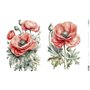 Papel De Arroz " La Vie En Fleurs Poppy VII"  54x33cm