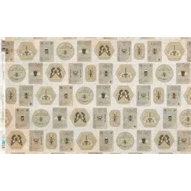 Papel De Arroz " La Vie En Fleurs Bug´s Gardem VI"  54x33cm