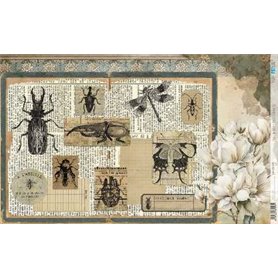 Papel De Arroz " La Vie En Fleurs Bug´s Gardem II"  54x33cm