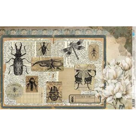 Papel De Arroz " La Vie En Fleurs Bug´s Gardem II"  54x33cm