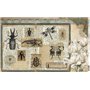 Papel De Arroz " La Vie En Fleurs Bug´s Gardem II"  54x33cm