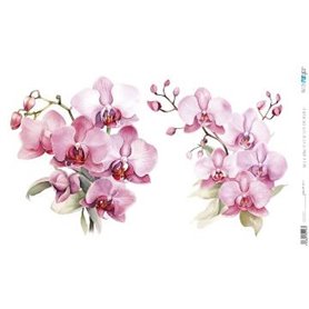 Papel De Arroz " La Vie En Fleurs Pink Orchid VII"  54x33cm