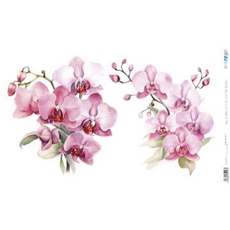 Papel De Arroz " La Vie En Fleurs Pink Orchid VII"  54x33cm