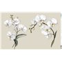 Papel De Arroz " La Vie En Fleurs White Orchid VIII"  54x33cm