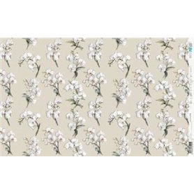 Papel De Arroz " La Vie En Fleurs White Orchid X"  54x33cm