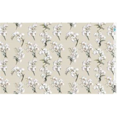 Papel De Arroz " La Vie En Fleurs White Orchid X"  54x33cm