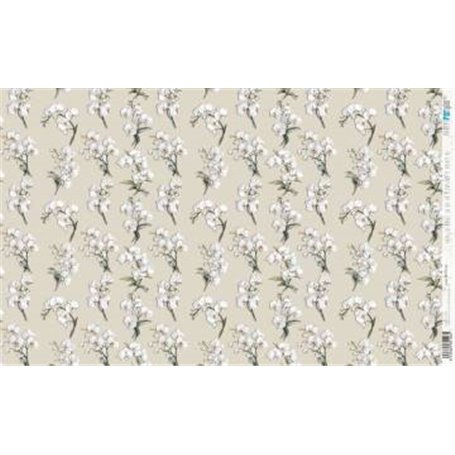 Papel De Arroz " La Vie En Fleurs White Orchid XI"  54x33cm