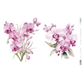 Papel De Arroz " La Vie En Fleurs Pink Orchid VIII"  54x33cm
