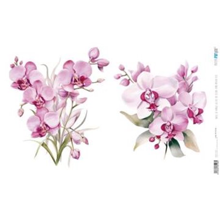 Papel De Arroz " La Vie En Fleurs Pink Orchid VIII"  54x33cm
