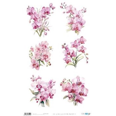 Papel De Arroz " La Vie En Fleurs Pink Orchid IX"  54x33cm