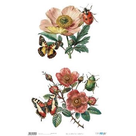 Papel De Arroz " La Vie En Fleurs Bug´s Gardem VII"  54x33cm