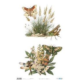 Papel De Arroz " La Vie En Fleurs Bug´s Gardem VIII"  54x33cm