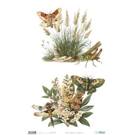 Papel De Arroz " La Vie En Fleurs Bug´s Gardem VIII"  54x33cm