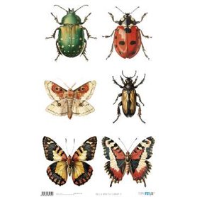 Papel De Arroz " La Vie En Fleurs Bug´s Gardem IX"  54x33cm