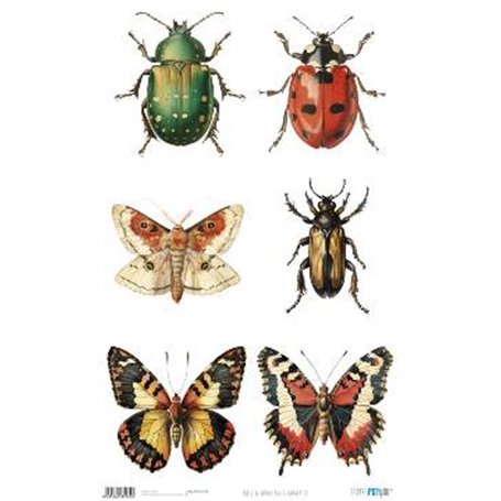 Papel De Arroz " La Vie En Fleurs Bug´s Gardem IX"  54x33cm