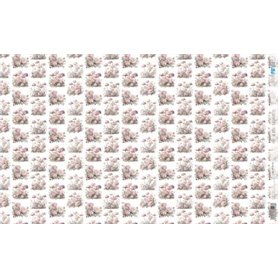 Papel De Arroz " La Vie En Fleurs Blushrooms XI"  54x33cm