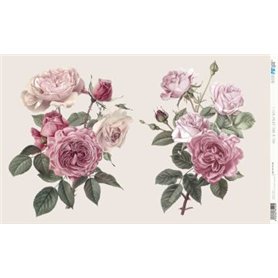 Papel De Arroz " La Vie En Fleurs Vintage Rose I"  54x33cm