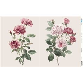 Papel De Arroz " La Vie En Fleurs Vintage Rose II"  54x33cm