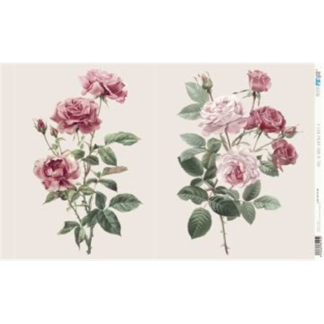 Papel De Arroz " La Vie En Fleurs Vintage Rose II"  54x33cm