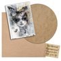 Kit LADY MIXMEDIA Cursos Verano 2025