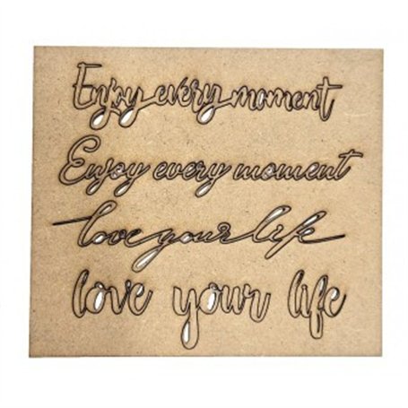Blister 4 frases DM 14,5x12,5cm