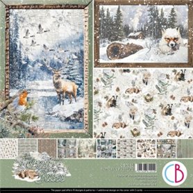 Colecciones Scrap – Papeles y materiales creativos para scrapbooking Montejo Forest Tales Patterns Pad 12"x12" 8/Pkg