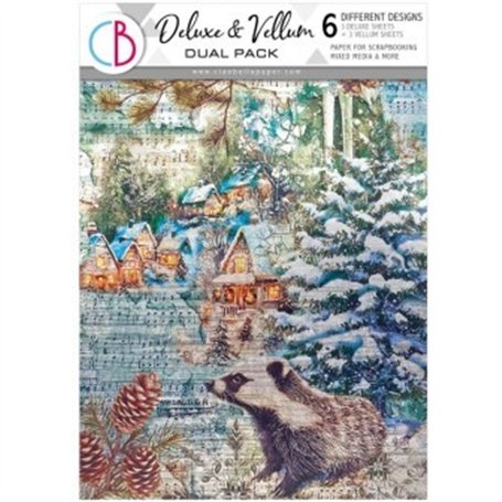 Deluxe Silver & Vellum Pack A4