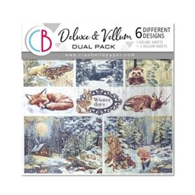 Deluxe Silver & Vellum MIXED 15x15cm