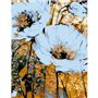 Lienzo prediseñado GOLDEN FLOWERS 35x45cm ROSA