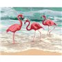 Lienzo prediseñado FLAMINGOS 35x45cm ROSA