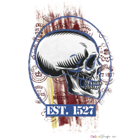 COLOR TRANSFER 27x21cm