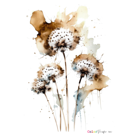 COLOR TRANSFER 27x21cm