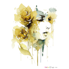 COLOR TRANSFER 27x21cm