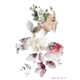 COLOR TRANSFER 27x21cm